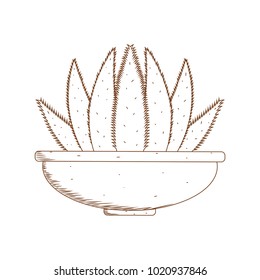 Abstract cute cactus