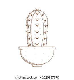 Abstract cute cactus