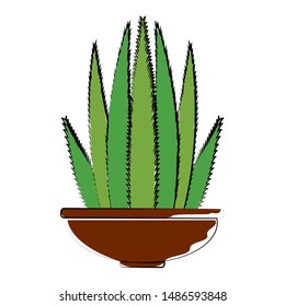 abstract cute cactus on a white background