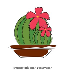 abstract cute cactus on a white background