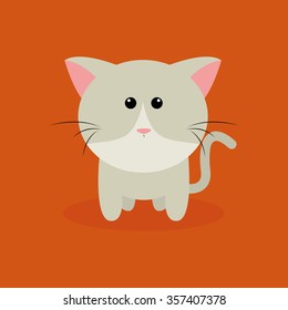 Abstract cute cat on a special background