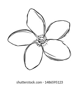 abstract cute flower on a white background