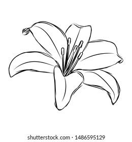 abstract cute flower on a white background