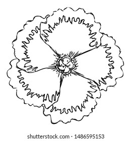 abstract cute flower on a white background