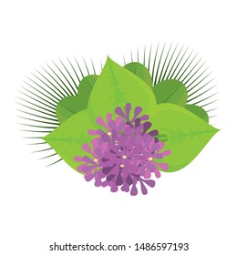 abstract cute flower on a white background