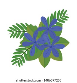 abstract cute flower on a white background