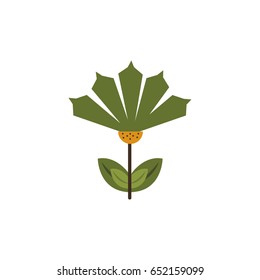 Abstract Cute flower on a white background