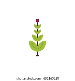 Abstract Cute flower on a white background