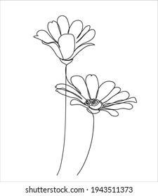 Abstract Daisies one line drawing on white background. One-line drawing. Continuous line. Vector Eps10