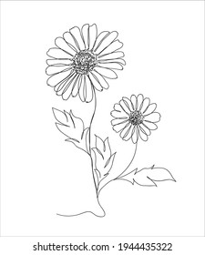 Resumen Daisies un dibujo de una línea sobre fondo blanco. Dibujo de una línea. Línea continua. Vector Eps10