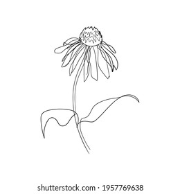 1,354 Daisy single line drawing Images, Stock Photos & Vectors ...