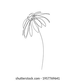 Abstract daisy flower in continuous line art drawing style. Minimalist Chamomile one line sketch Vector illustration