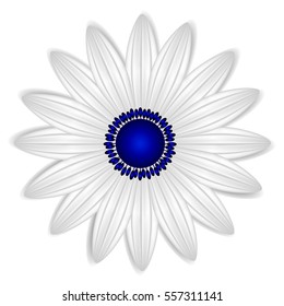 Abstract daisy on a white background.