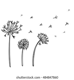 Abstract Dandelion Background with black flowers on white background. Vector Illustration