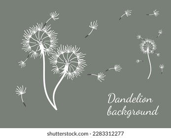 Abstract dandelion background design, great design for any purpose. Natural beauty. Brochure layout template background. natural wind. Spring banner.