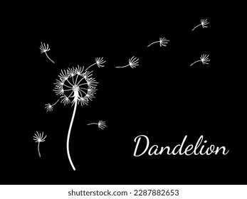 Abstract dandelion background design, great design for any purpose. Natural beauty. Brochure layout template background. natural wind. Spring banner.