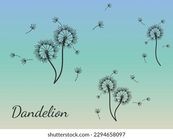 Resumen de diseño de fondo de dientes de león, gran diseño para cualquier propósito. La belleza natural. Fondo de la plantilla de diseño de folleto. viento natural. Cartel de primavera.