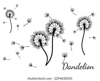 Abstract dandelion background design, great design for any purpose. Natural beauty. Brochure layout template background. natural wind. Spring banner.