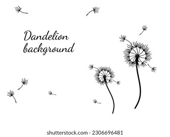 Abstract dandelion background design, great design for any purpose. Natural beauty. Brochure layout template background. natural wind. Spring banner.