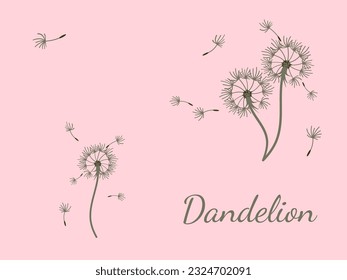 Abstract dandelion background design, great design for any purpose. Natural beauty. Brochure layout template background. natural wind. Spring banner.