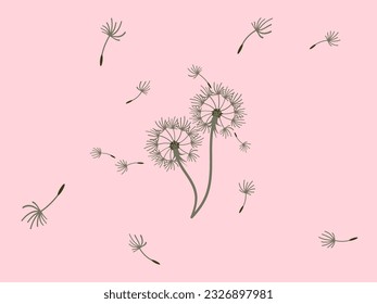 Abstract dandelion background design, great design for any purpose. Natural beauty. Brochure layout template background. natural wind. Spring banner.