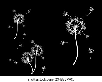 Abstract dandelion background design, great design for any purpose. Natural beauty. Brochure layout template background. natural wind. Spring banner.