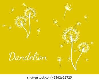 Abstract dandelion background design, great design for any purpose. Natural beauty. Brochure layout template background. natural wind. Spring banner.