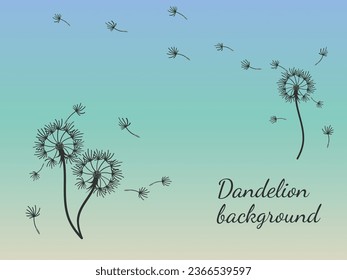 Abstract dandelion background design, great design for any purpose. Natural beauty. Brochure layout template background. natural wind. Spring banner.