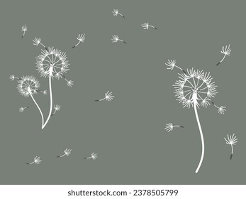 Abstract dandelion background design, great design for any purpose. Natural beauty. Brochure layout template background. natural wind. Spring banner.