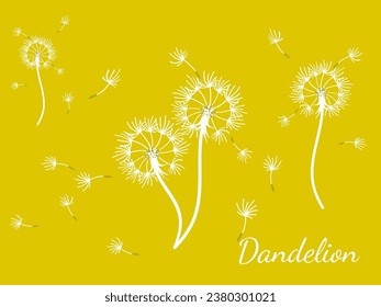 Abstract dandelion background design, great design for any purpose. Natural beauty. Brochure layout template background. natural wind. Spring banner.