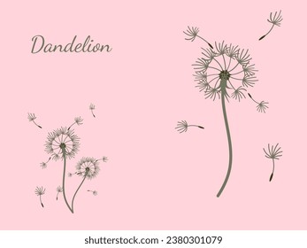 Abstract dandelion background design, great design for any purpose. Natural beauty. Brochure layout template background. natural wind. Spring banner.