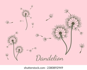 Abstract dandelion background design, great design for any purpose. Natural beauty. Brochure layout template background. natural wind. Spring banner.