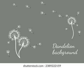 Resumen de diseño de fondo de dientes de león, gran diseño para cualquier propósito. La belleza natural. Fondo de la plantilla de diseño de folleto. viento natural. Cartel de primavera.