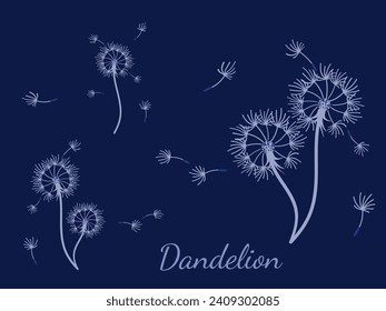Abstract dandelion background design, great design for any purpose. Natural beauty. Brochure layout template background. natural wind. Spring banner.