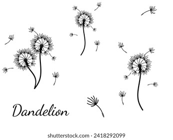 Abstract dandelion background design, great design for any purpose. Natural beauty. Brochure layout template background. natural wind. Spring banner.