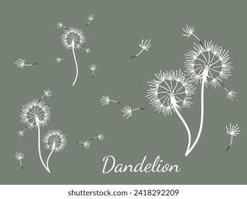 Resumen de diseño de fondo de dientes de león, gran diseño para cualquier propósito. La belleza natural. Fondo de la plantilla de diseño de folleto. viento natural. Cartel de primavera.