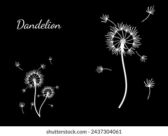 Abstract dandelion background design, great design for any purpose. Natural beauty. Brochure layout template background. natural wind. Spring banner.