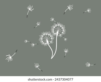 Abstract dandelion background design, great design for any purpose. Natural beauty. Brochure layout template background. natural wind. Spring banner.