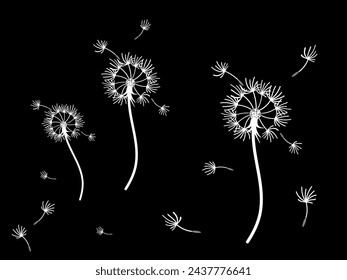 Abstract dandelion background design, great design for any purpose. Natural beauty. Brochure layout template background. natural wind. Spring banner.