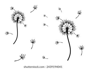 Abstract dandelion background design, great design for any purpose. Natural beauty. Brochure layout template background. natural wind. Spring banner.