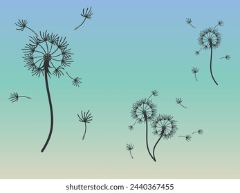 Abstract dandelion background design, great design for any purpose. Natural beauty. Brochure layout template background. natural wind. Spring banner.
