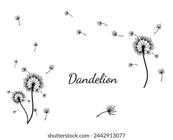 Abstract dandelion background design, great design for any purpose. Natural beauty. Brochure layout template background. natural wind. Spring banner.