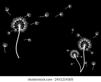 Abstract dandelion background design, great design for any purpose. Natural beauty. Brochure layout template background. natural wind. Spring banner.