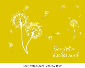 Abstract dandelion background design, great design for any purpose. Natural beauty. Brochure layout template background. natural wind. Spring banner.