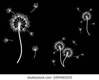 Abstract dandelion background design, great design for any purpose. Natural beauty. Brochure layout template background. natural wind. Spring banner.