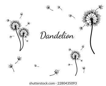 Abstract dandelion background for design. The wind blows dandelion seeds. Template for posters, wallpapers, posters. Vector illustration.