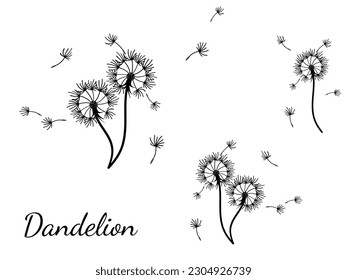 Abstract dandelion background for design. The wind blows dandelion seeds. Template for posters, wallpapers, posters. Vector illustration.