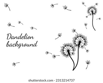 Abstract dandelion background for design. The wind blows dandelion seeds. Template for posters, wallpapers, posters. Vector illustration.