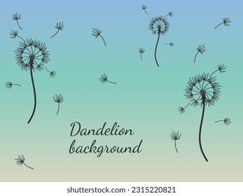 Abstract dandelion background for design. The wind blows dandelion seeds. Template for posters, wallpapers, posters. Vector illustration.