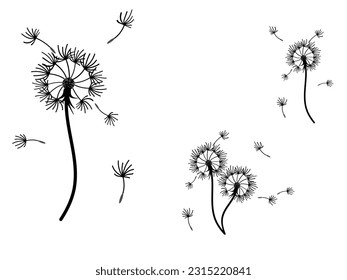 Resumen de fondo de diente de león para el diseño. El viento sopla semillas de león. Plantilla para afiches, fondos de pantalla, afiches. Ilustración vectorial.